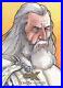 2022 Cryptozoic CZX Middle Earth Sketch by Mike Masterano of Gandolf