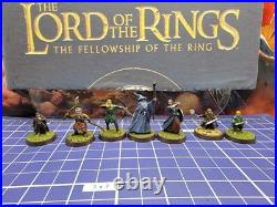 LOTR The Fellowship of the Ring x8 Painted Middle-Earth Battle Strategy Game