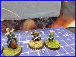 LOTR The Fellowship of the Ring x8 Painted Middle-Earth Battle Strategy Game