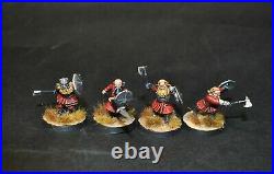 Warhammer lotr Middle Earth 12 Dwarf Warriors of Erebor painted