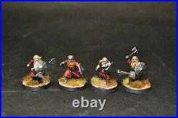 Warhammer lotr Middle Earth 12 Warriors of Erebor led by young Thorin painted