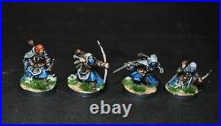 Warhammer lotr Middle Earth Duinhir + 12 Blackroot Vale Archers painted Fiefdoms