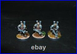 Warhammer lotr Middle Earth Iron Hills warband painted Dwarves Forgeworld