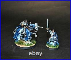 Warhammer lotr Middle Earth Knights of Dol Amroth Army painted 26 figures