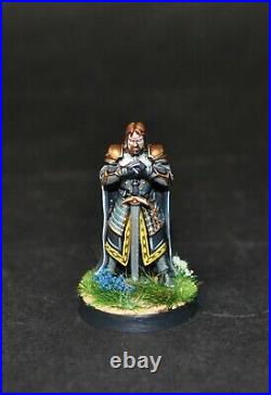 Warhammer lotr Middle Earth Wardens of Gondor painted Hurin the Tall Ingold